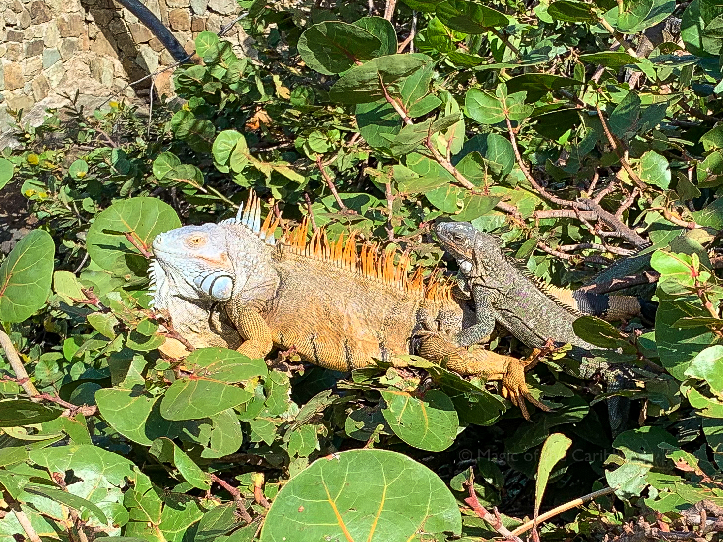 3EC78D35-1448-4805-8D34-4F7CF22B13F9