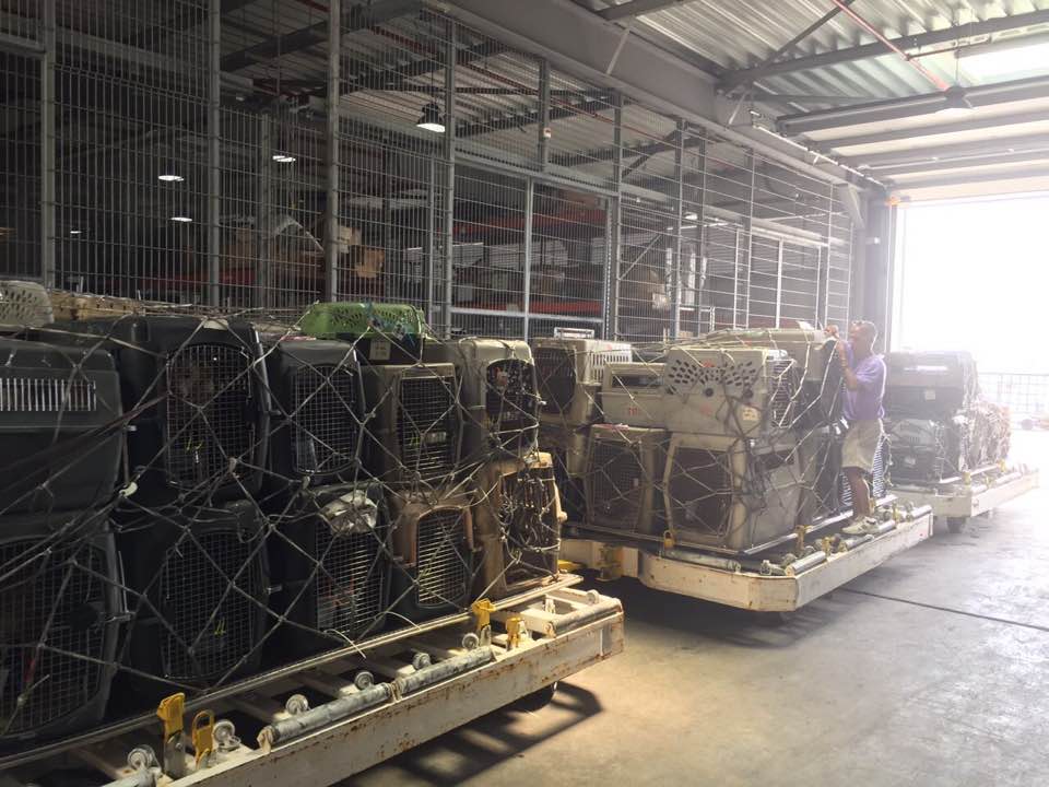 22222031_10214864844953973_1065978012497774241_n