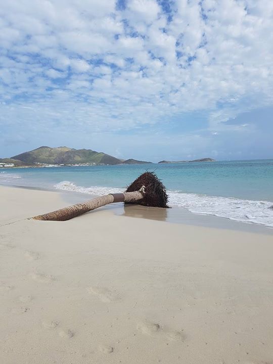 We survived Hurricane Irma on SXM – in&nbsp;english