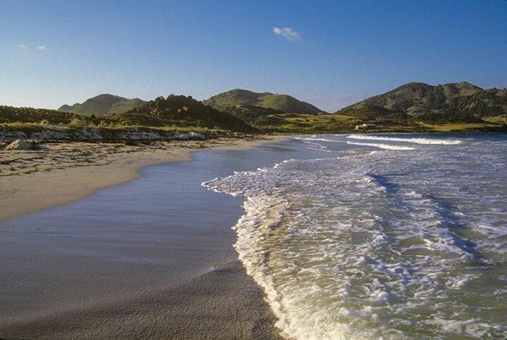 23622144_569601856728058_146560433475952842_n