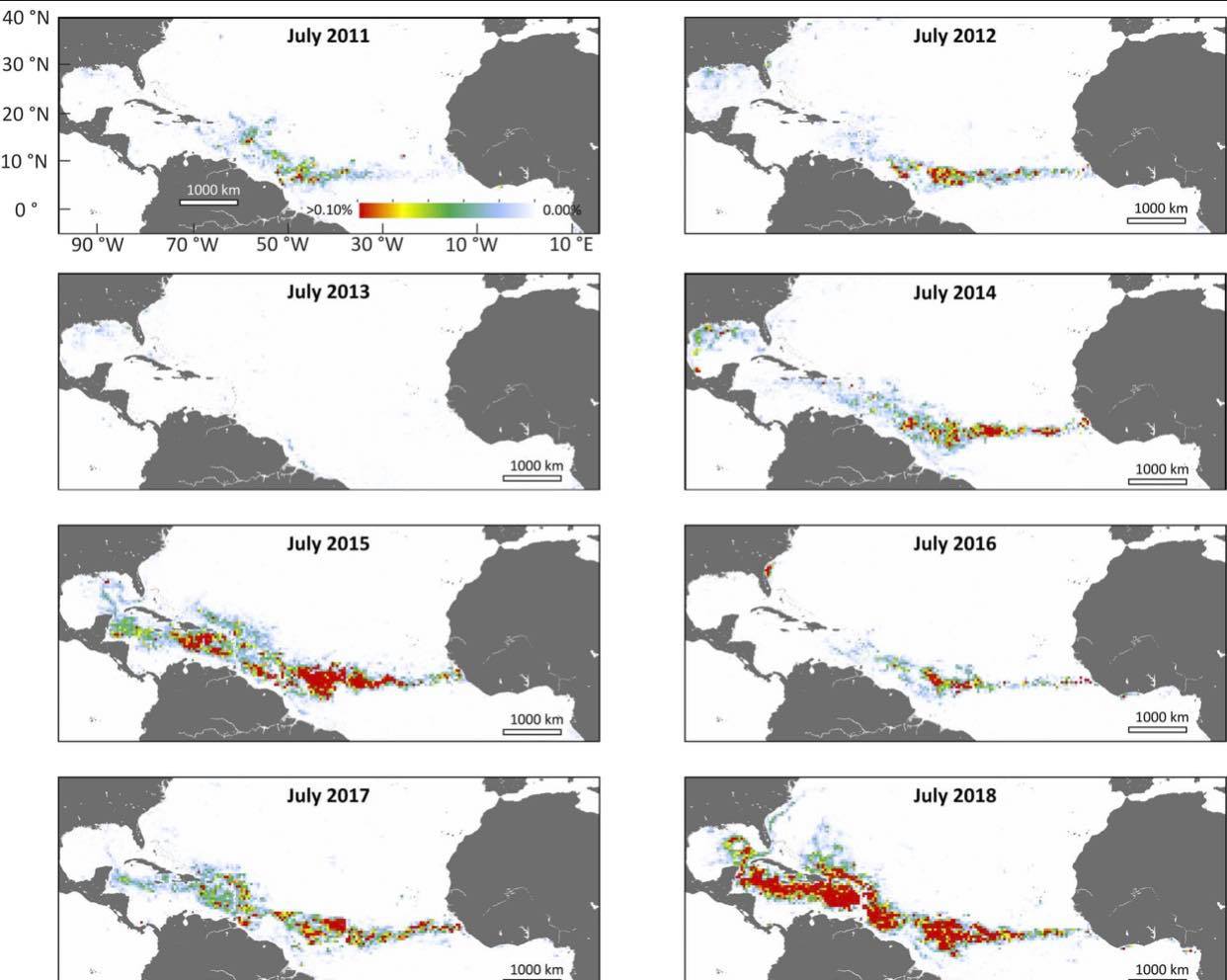 65022082_602640680225655_1251463713827848192_n
