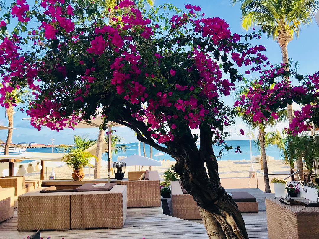 35508717_607663542965585_7598514474881908736_o