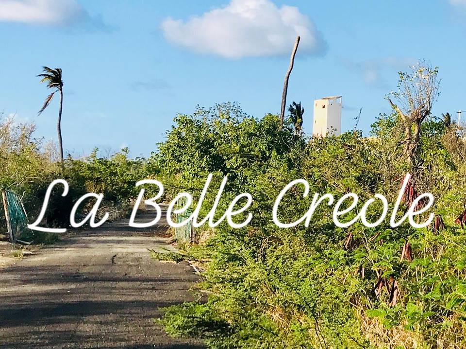 37904268_728070924214483_7075550263259430912_n