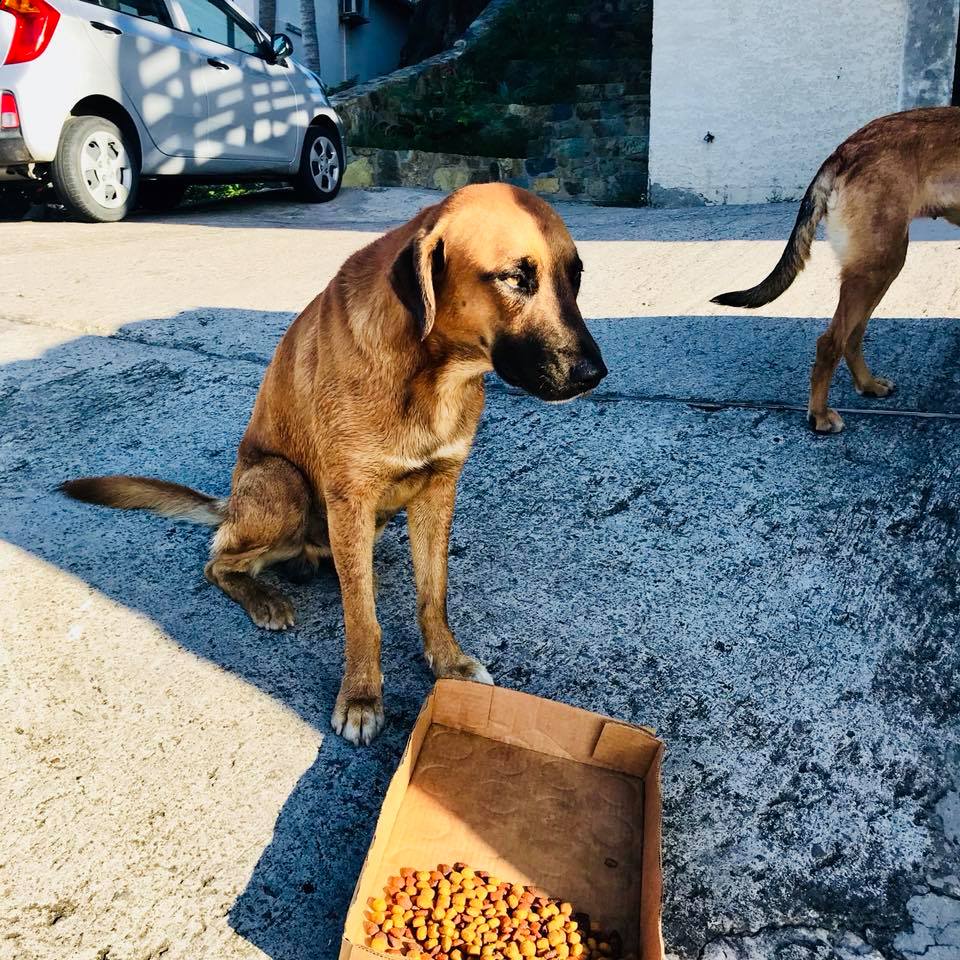 41459322_769937036694538_1464428142486618112_n