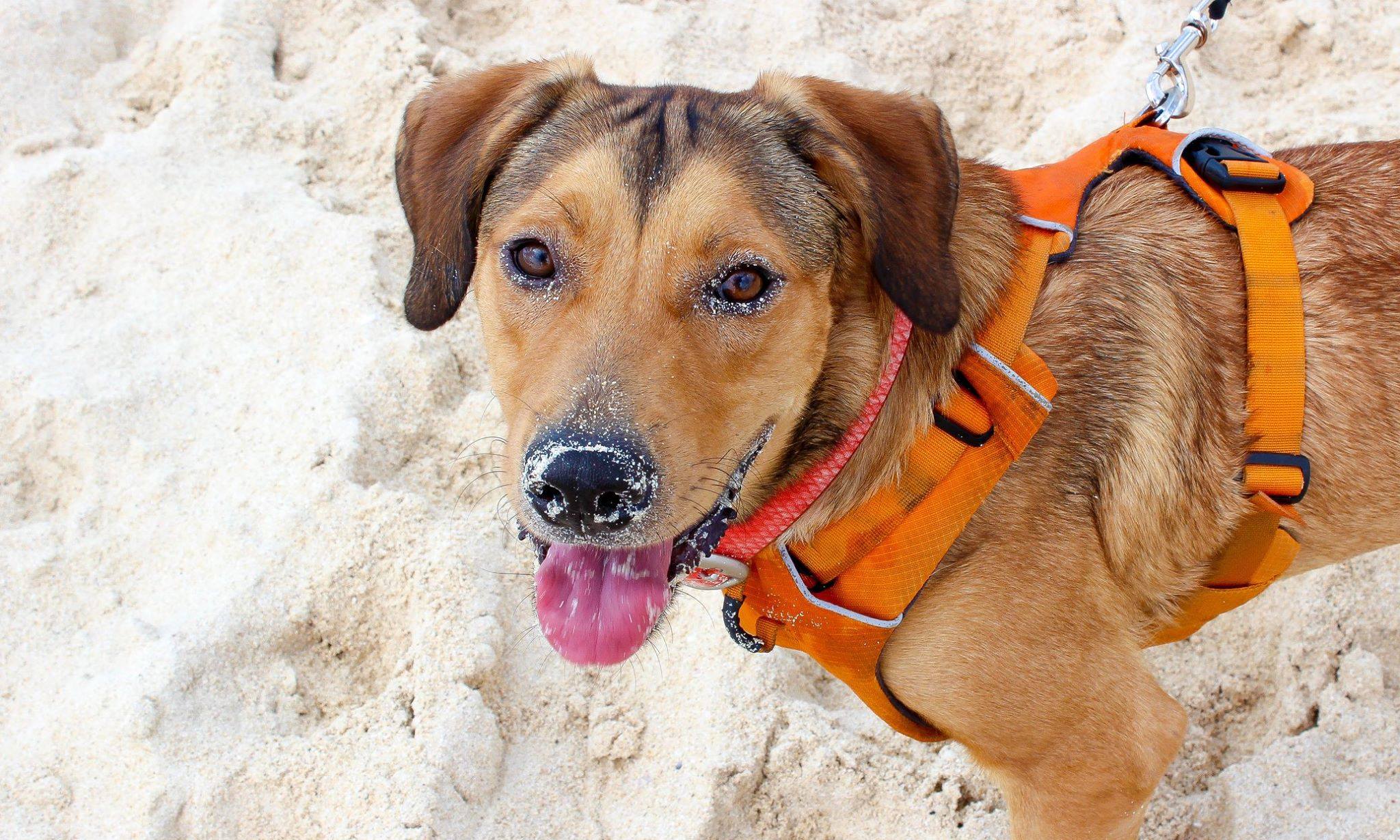 43122151_10156664092635758_1482711474668306432_o