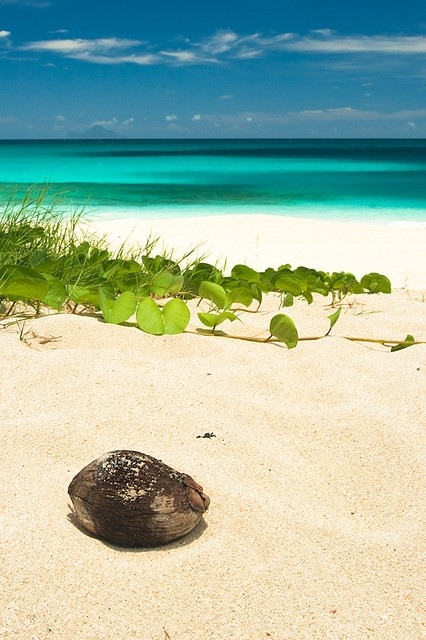 66372848_1229953740509166_1631510844271493120_n