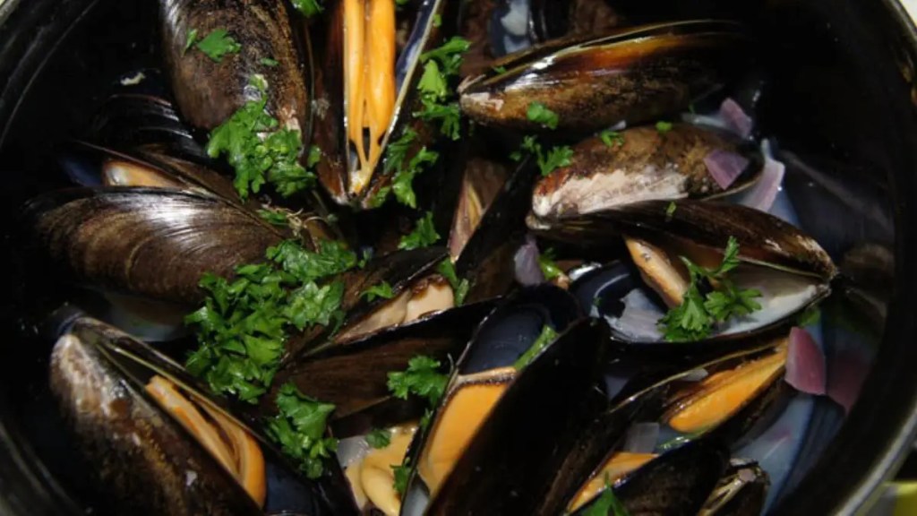 Muscheln in Perfektion