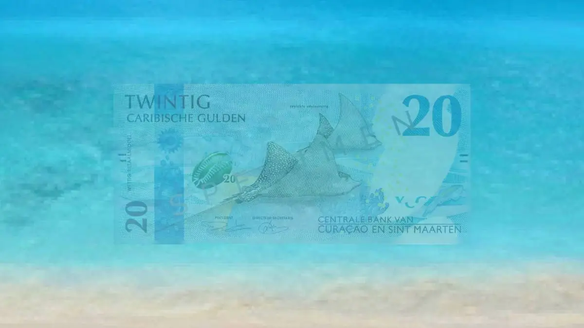 Die neuen Caribbean Guilder …