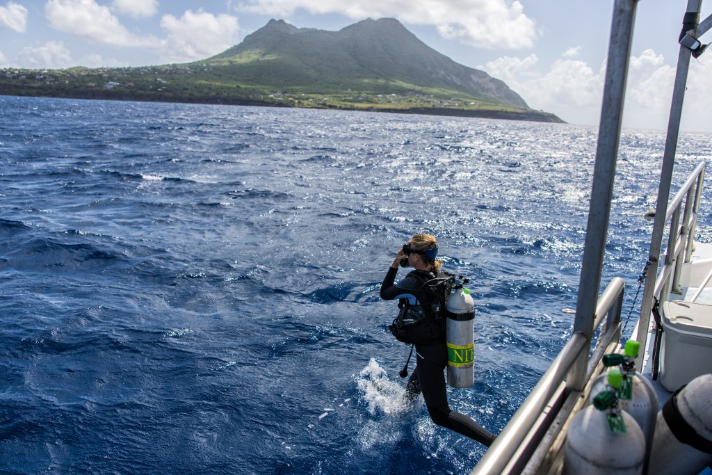 Golden Rock Dive & Nature Resort St. Eustatius
